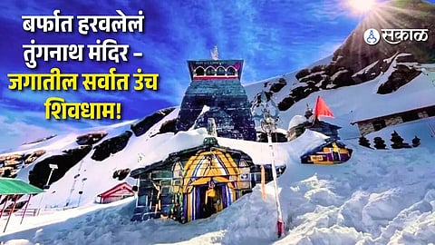 Tungnath Travel