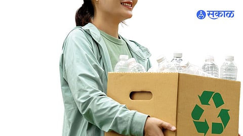 Why Eco-Friendly Startups Matter