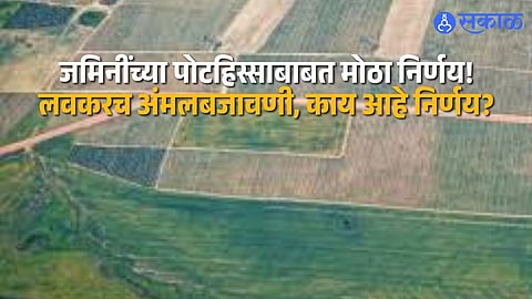 Farmers working in fields as Maharashtra government announces new land subdivision rules.