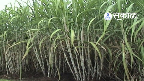 Chhatrapati Sambhajinagar News