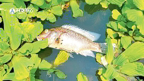 Severe water pollution