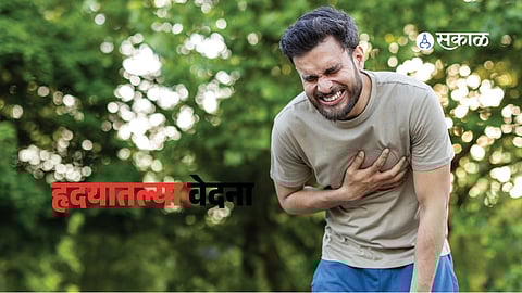 Understanding Heart Health: More Than Just a Biological Pump