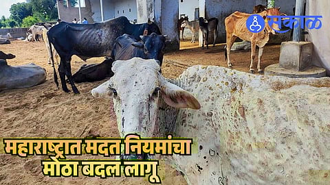 Animal Compensation Rule Change