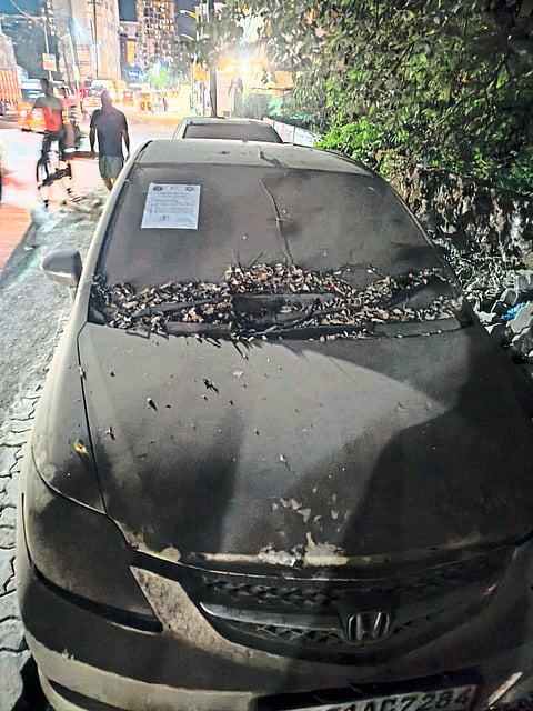 मोहन पाम मार्ग मोकळा होणार