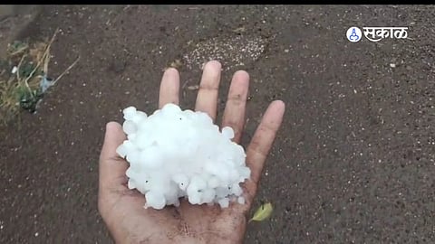 Unseasonal Havoc: Massive Hailstorm Destroys Crops in Junnar Taluka