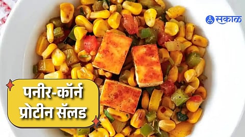 Protein-Packed Paneer Corn Salad
