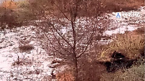 Chhatrapati Sambhajinagar News