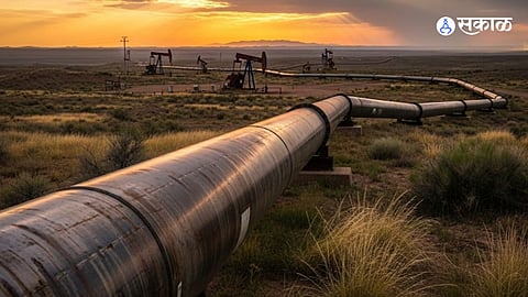 PM Narendra Modi collaborates with Gulf allies