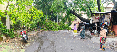 तळेगाव दाभाडे परिसराला
वादळी वाऱ्यासह गारांचा मारा