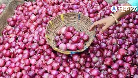 ₹52 Lakh Onion Sale Dues Pending; 19 Agents Face License Suspension in Solapur