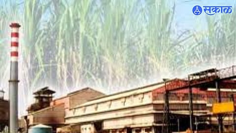 Sugar Industry Set for Growth with Bio-Isobutanol Diesel Blend Option