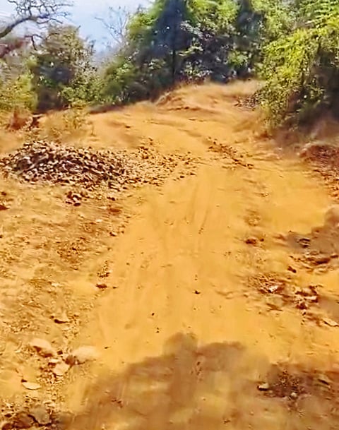 आदिवासी भागाला रस्त्यांची आस