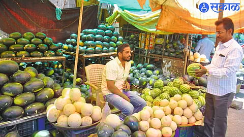 Damaged watermelon and muskmelon crops after unseasonal rains; prices may rise soon.