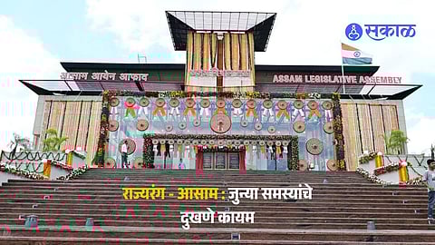 "आसाममध्ये कोणाचं 'पर्व' येणार?" चहाच्या मळ्यांपासून ब्रह्मपुत्रेच्या काठापर्यंत राजकीय धुराळा; भाजपची शक्ती की काँग्रेसची युक्ती?