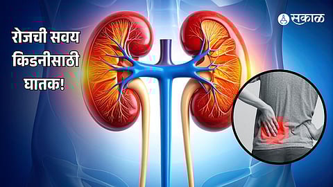 Kidney Health