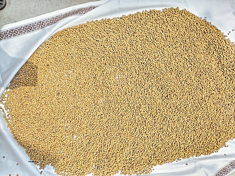 गृहिणींची बेगमीसाठी लगबग