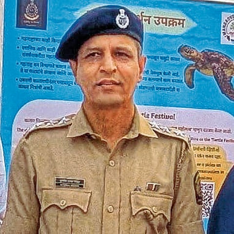 रायगड किनारपट्टीवर कासव संवर्धनाला वेग