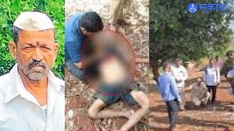 Scene from Chandepaki Pal Khurd where a farmer lost his life in a fatal gaur attack