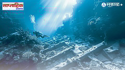 Marine biology and oceanography