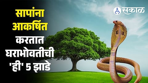 Why Certain Plants Attract Snakes to Your Home