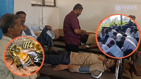 Radhanagari Bee Attack news people injure