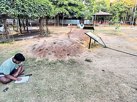 कोट्यवधीचा खर्च वाया