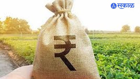 Crop Damage Across 300 Villages; ₹25 Crore Compensation Sought