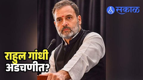 Rahul Gandhi Allahabad HC Orders