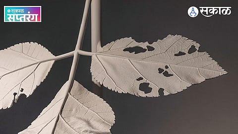 Sunil Gawde Artist Biography