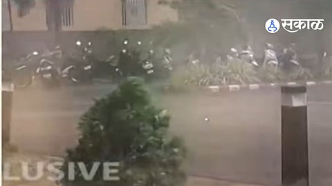 Sangli Hit by Heavy Rain and Hailstorm, Crops Damaged Across District