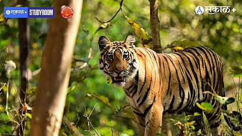 Wildlife Sanctuaries and Biodiversity