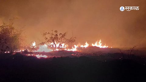 Ratnagiri News: रत्नागिरी ग्रामीण भागात अग्निशमन यंत्रणेचा अभाव; वणवे नियंत्रणात संकट