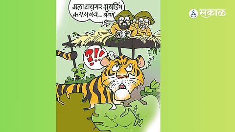 ढिंग टांग : जंगलात फोटोग्राफी की मातोश्रीवर स्टुडिओ?; ब्रिटिश नंदी यांचा 'मोठ्या' आणि 'छोट्या' शिकाऱ्यावर खुसखुशीत कटाक्ष!