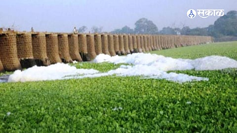 मुळा-मुठा आणि इंद्रायणी नदीतील रासायनिक व सांडपाण्यामुळे वाढलेली जलपर्णी आणि डासांच्या प्रादुर्भावाविरोधात हवेली-दौंडमधील ग्रामस्थांनी १ मे पासून नदीतच उपोषणाला बसण्याचा इशारा दिला आहे.