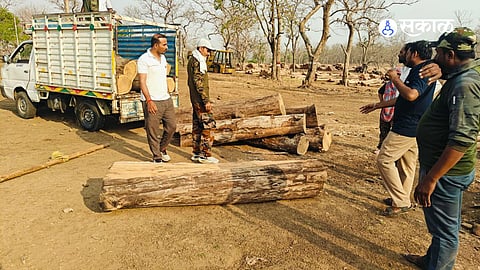 Forest Development Corporation Seizes ₹7 Lakh Worth Teakwood & Tempo
