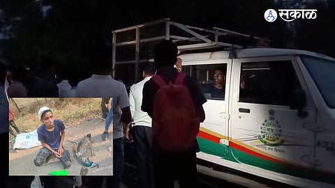 National Bird Peacock Brutally Killed in Paithan: Two Youth Arrested