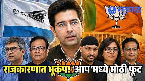 Raghav Chadha resignation