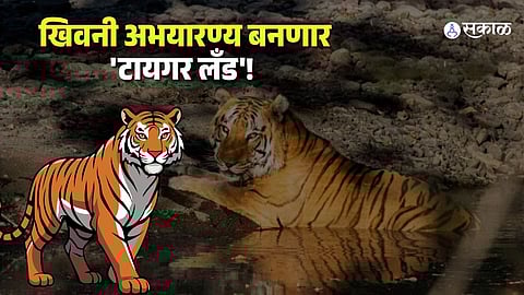 Khivni Sanctuary’s Big Leap: Eco-Tourism Boost as Tiger Population Grows