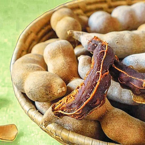 ये गो ये... कोकणातील रानमेव्याचा आस्वाद घे!