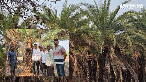 From Farm to Pune Market in 2 Hours: The Freshness Formula of Neera