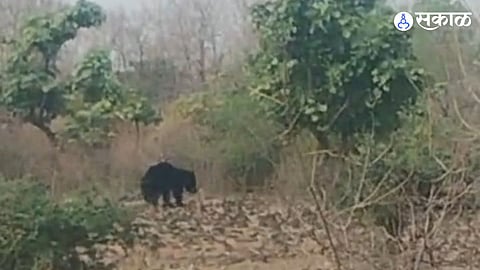 Forest Officer Umesh Gaikwad Urges Farmers to Remain Vigilant During Harvest