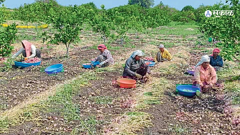Chhatrapati Sambhajinagar