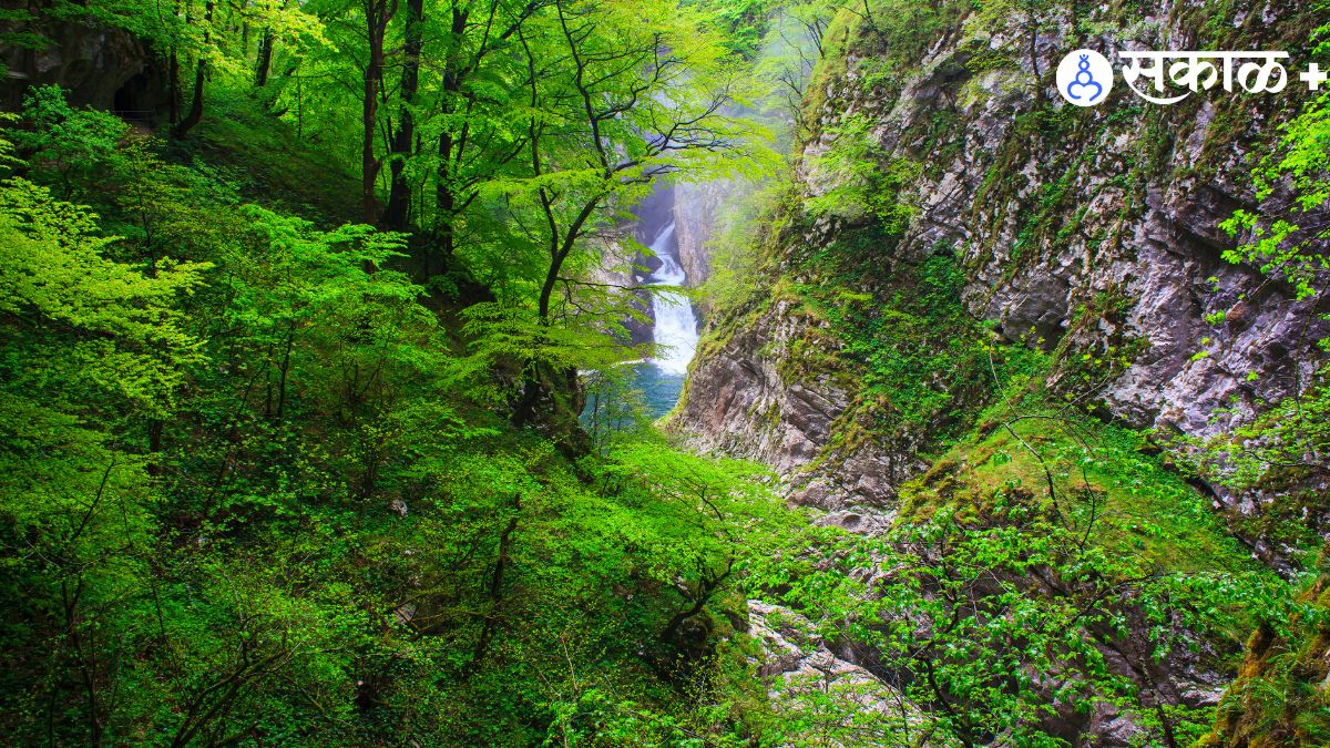 Biodiversity in Focus: Why Biosphere Reserves Matter in India