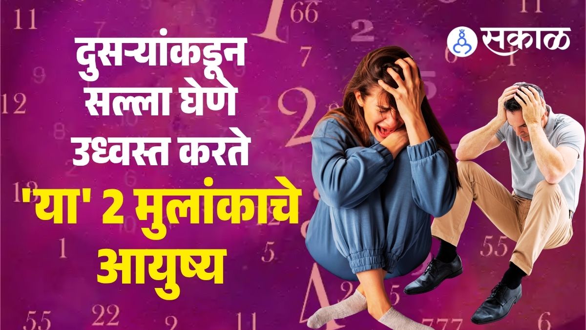 Numerology career prediction