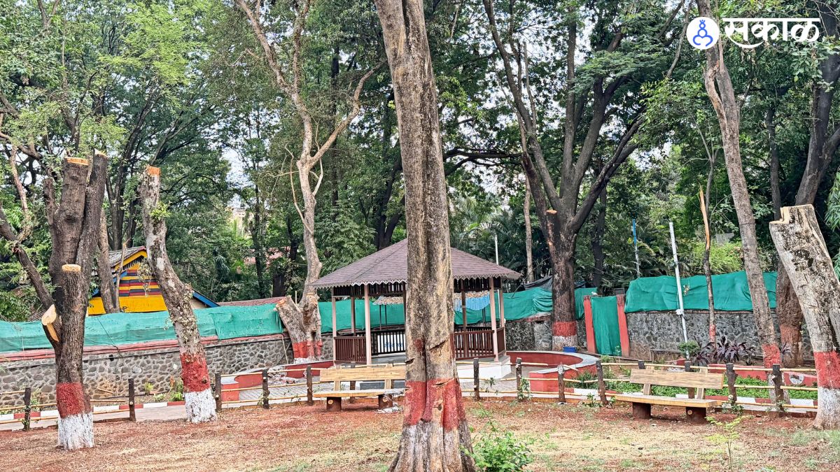 Controversy Erupts Over Tree Felling at Pune Mayor’s Bungalow During Scorching Heat
