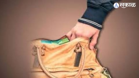 Crowd Chaos Exploited: Major Jewellery Theft Reported in Narayangaon