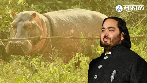 Anant Ambani