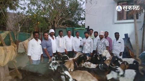 Integrity of Jamgaon Citizens Saves Farmer's Livelihood