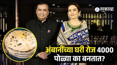 Why 4,000 Rotis Are Made Daily at Nita Ambani’s Antilia Will Shock You