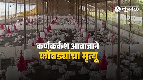Poultry Death Case